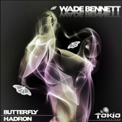 Butterfly/Hadron