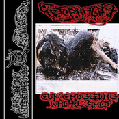 split w/ fetophagia