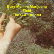 Bury Me in a Marijuana Field