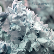 Pop Ambient 2017