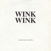 Wink Wink cover