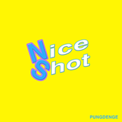 Nice Shot