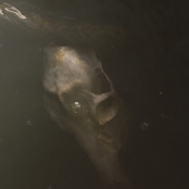 From the Dry Edge of the Shore