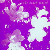 Jaded by The Black Watch