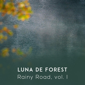 Rainy Road, vol. I