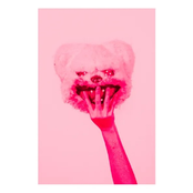 Blood, Sweat & Broke