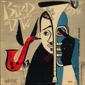 Dizzy Bird