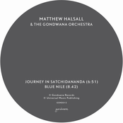 Journey in Satchidananda / Blue Nile