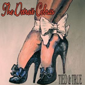 Nothing But A Heartache by The Detroit Cobras