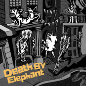 Death by Elephant