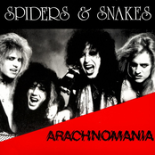 Spiders & Snakes