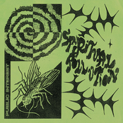 ETT - 104 - Public Interest - Spiritual Pollution LP