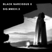 Black Narcissus X