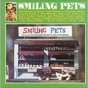 Smiling Pets: A Tribute To The Beach Boys