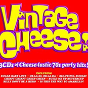 Vintage Cheese [Disc 2]