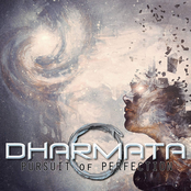 Pursuit of Perfection