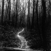 I - A Collective of Stories