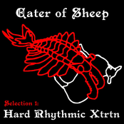 Hard Rhythmic Xtrtn
