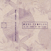 In the Shade of the Island