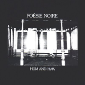 The Vocal Fight by Poésie Noire