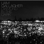 Diamond In The Dark