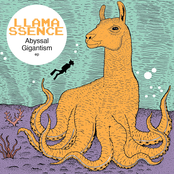 Llamassence