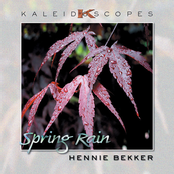 Spring Rain by Hennie Bekker
