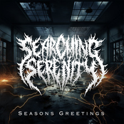 Seasons Greetings