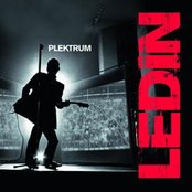 plektrum