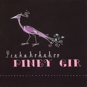 Boston by Piney Gir