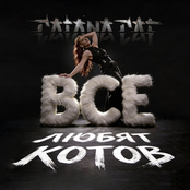 Все любят котов