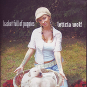 Basket Full Of Puppies