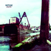 Black Tide by Neptune