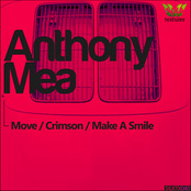 Crimson by Anthony Mea