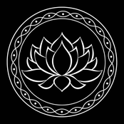 Black Lotus