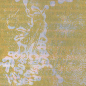 Cartwright, George: The Ghostly Bee