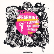The Whole Summer Long by Spearmint