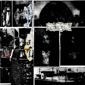 Human Cull / Community Ruin