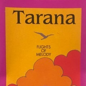 Flights of Melody