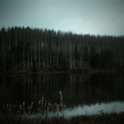 Vaarain harmauden ylitse