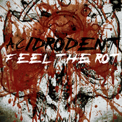 Feel the Rot