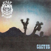 Saguaro by Jolly Roger