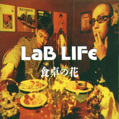 Love Life by Lab Life