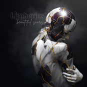 Limberlost: Beautiful Scars