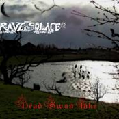 Dead Swan Lake