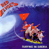 I Wanna Rock N' Roll All Night by Red Elvises