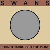 Swans - Blood Section