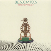 Indian Summer by Blossom Toes