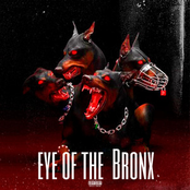 Eye Of The Bronx