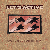 Every Dog Has His Day